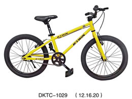 兒童自行車 DKTC-1029