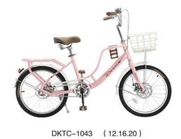 兒童自行車 DKTC-1043